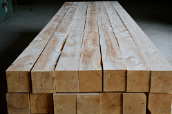 Eastern Hemlock Posts